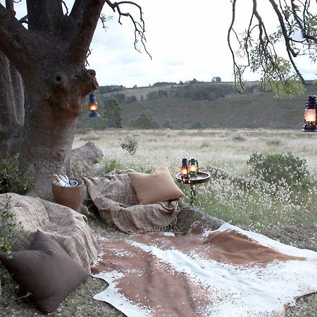 Gondwana Game Reserve Herbertsdale Ngoại thất bức ảnh