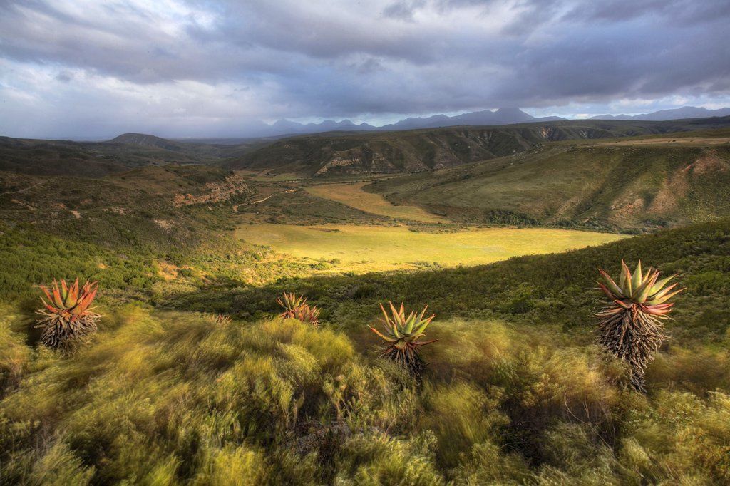 Gondwana Game Reserve Herbertsdale Ngoại thất bức ảnh