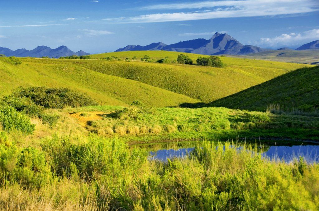Gondwana Game Reserve Herbertsdale Ngoại thất bức ảnh