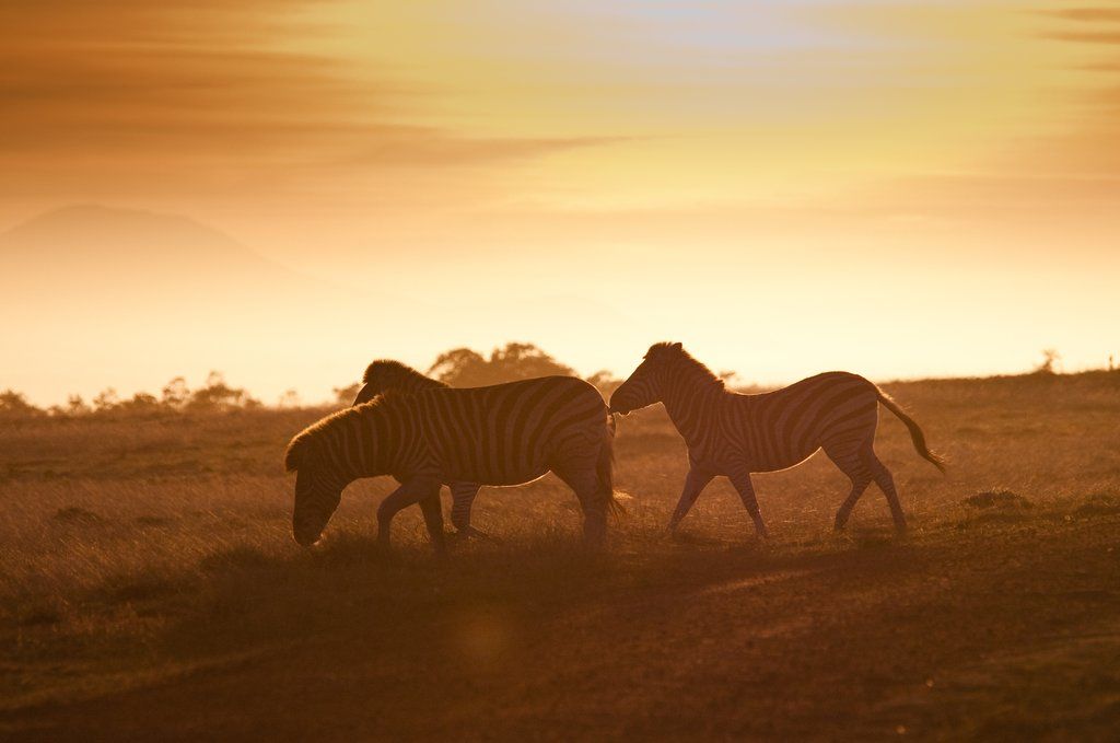 Gondwana Game Reserve Herbertsdale Ngoại thất bức ảnh