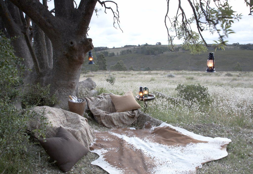 Gondwana Game Reserve Herbertsdale Ngoại thất bức ảnh