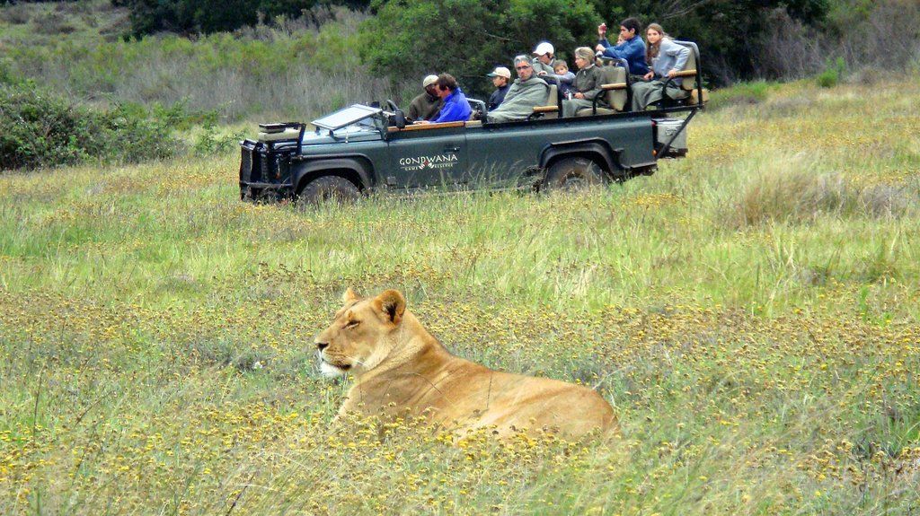 Gondwana Game Reserve Herbertsdale Ngoại thất bức ảnh